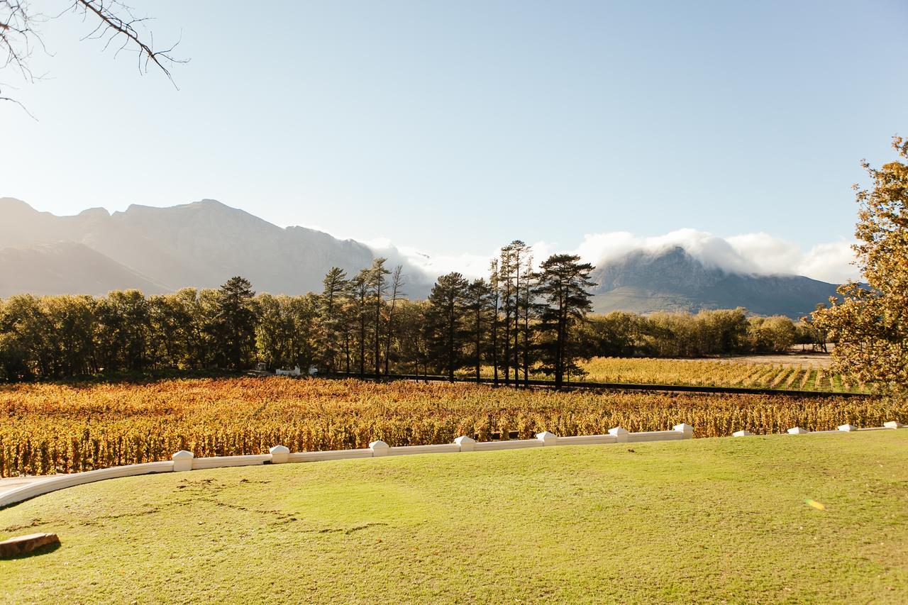Rickety Bridge Manor House Guest House Franschhoek Luaran gambar