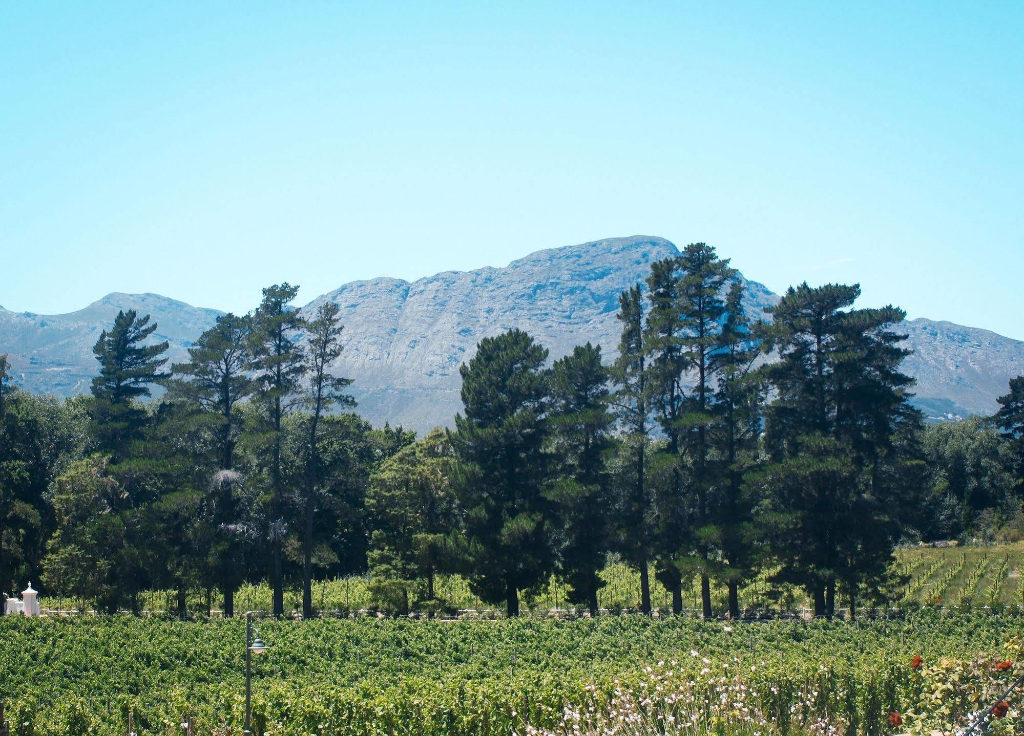 Rickety Bridge Manor House Guest House Franschhoek Luaran gambar